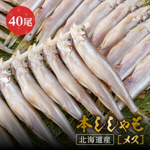 北海道産 ししゃもの人気商品 通販 価格比較 価格 Com