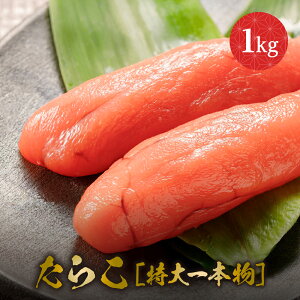 炱m{n 1kg ^R ^R 炱 CN  v`v` т̂ ̗͂F Mtg 񂹃O  蕨  Ε  hV̓ Hi Hו