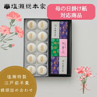 母の日 2026 和菓子 ギフト 姫羊羹6本 塩瀬饅頭10個 饅頭 羊羹 【日本3大まんじゅう】 日本ギフト大賞受…
