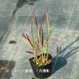 xj`K@9cm|bgc@ʊ/R쑐/ϊN/g/bho/x n㕔Ȃ