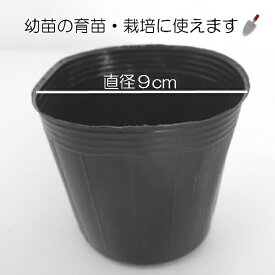 楽天市場 育苗 ポット サイズの通販