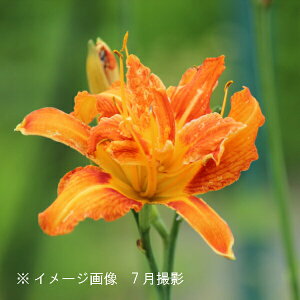 uJ]E@10.5cm|bgc@ʊ/R쑐/Rؕc/ϊN/M/A}i/x n㕔