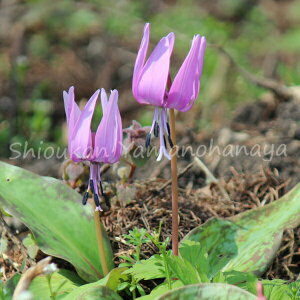 {J^N@9cm|bgc@ʊ/R쑐/ϊN/x n㕔