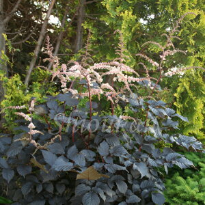 AX`x `R[gVEO@9`10.5cm|bgc@ʊ/؂₩ȊCOi/ϊh/ē/x n㕔Ȃ