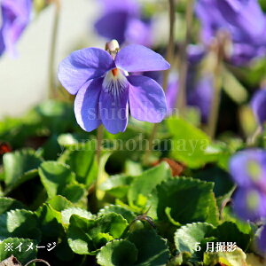 C\X~@9cm|bgc@ʊ/R쑐/ϊN//~tWJ