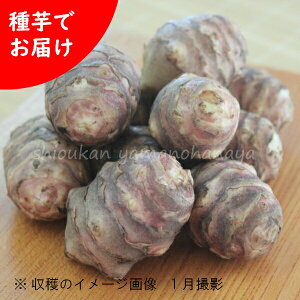 茧YTLLNC@@1kgE10kgE100kgE1tPʁ@ ʊ/dł͂//e//͔|Ԓ_sgp/yt/׍ς