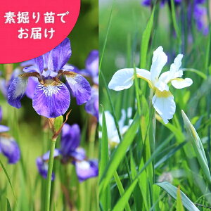 yԐFI\zmA@f@c@ʊ///R쑐/A/Ҋ/׍ς