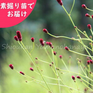 č炫RE@f@c@R쑐/ᖒg/TM\o/׍ς