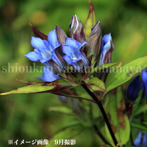 }hE@9cm|bgc@R쑐/ϊN/_/茧/x n㕔