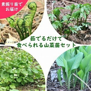 RؕcZbgF 䥂ł邾ŐHׂRؕc@4e5ZbgyRS~EVhPEECEn^PTrz׍ς