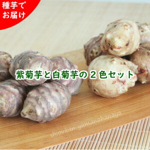 RؕcZbgFTLLNCƃLNC@2Fe5Zbg@茧Y/e/yt/׍ς