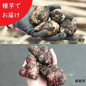 \tyiI\z茧YLNC@@ʊ/ł͂/LNC/TLLNC/e/yt/125͂Jn