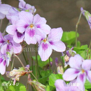 TN^`c{X~@9cm|bgc@ʊ/R쑐/ϊN/Vi/~tWJ