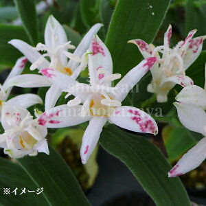 zggMX d@9cm|bgc@R쑐/ϊN/mC/Vi/x n㕔