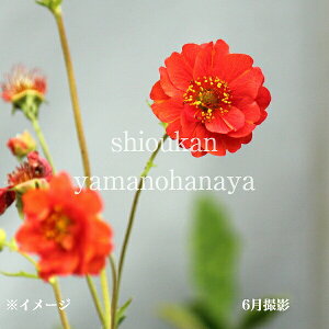 QE t@C[{[@9`10.5cm|bgc@ʊ/؂₩ȊCOi/h/ϊN/Vi/GJԏI 8/29tWJ