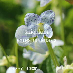 tLJPX~@9cm|bgc@ʊ/͔|Ԓ_sgpcI\/R쑐/ϊN//Vi/~tWJ