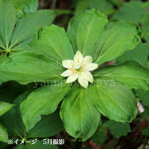 LkKT\E@9cm|bgc@R쑐/ϊN/1NJԌݕc/Vi/x n㕔