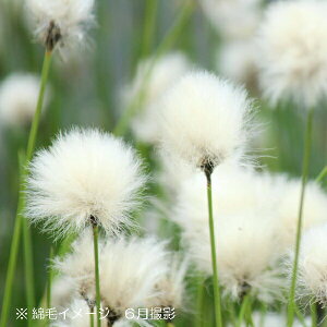 (20|bg)^XQ@9`10.5cm|bgc20|bgZbg@Ȑ/XYmP/GJԏI 8/29tWJ