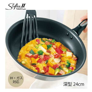 r^Ntg VitaCraft \tBA2 EHbNp 24cm [^ No.1754@IH KXΉ@[^tCp@PFOAt[