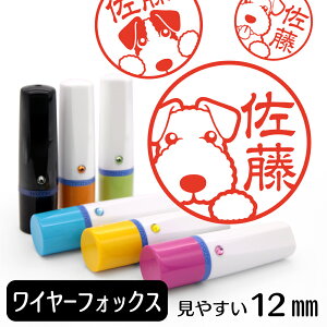 C[tHbNXeA l[ y CXg nR 12mm z   CXg͂ ObY G X^v q F 킢   v[g Mtg j pI