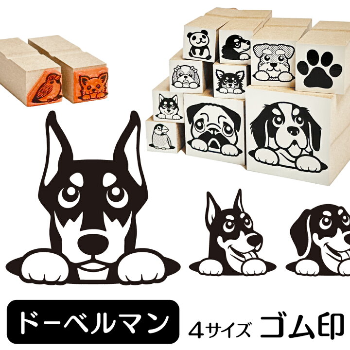 楽天市場 ドーベルマン イラスト ゴム印 角印 16mm 油性インク 対応 かわいい 犬 ドッグ 動物 雑貨 グッズ ハンコ スタンプ 可愛い プレゼント オリジナル 耐油 ギフト 贈り物 買い回り ポイント消化 送料無料 就職祝い 母の日 動物イラストはんこ しっぽと生活
