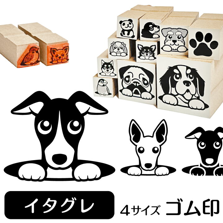 楽天市場 イタグレ ウィペット イラスト ゴム印 角印 16mm 油性インク 対応 かわいい 犬 ドッグ 動物 雑貨 グッズ ハンコ スタンプ 可愛い プレゼント ギフト 贈り物 買い回り ポイント消化 送料無料 結婚祝い ハロウィン 動物イラストはんこ しっぽと生活