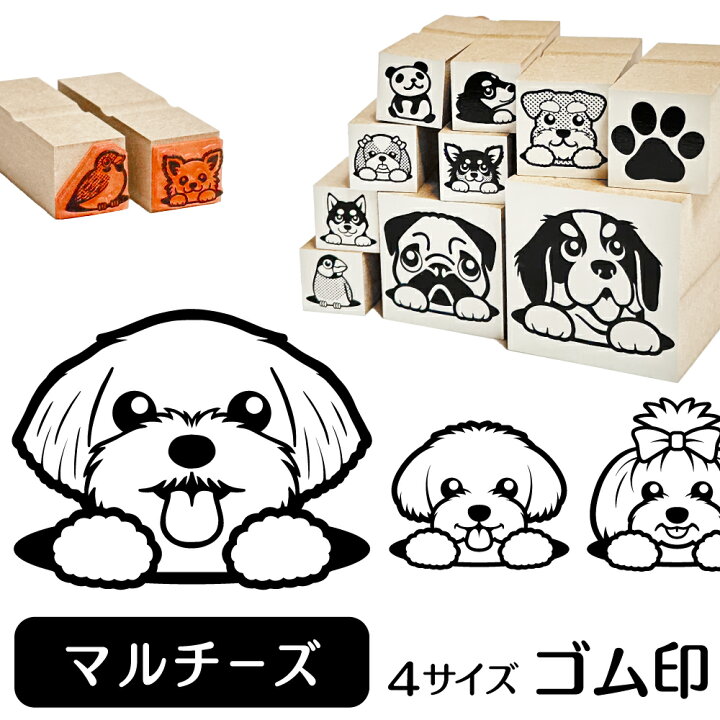 楽天市場 マルチーズ イラスト ゴム印 角印 16mm 油性インク 対応 かわいい 犬 ドッグ 動物 雑貨 グッズ ハンコ スタンプ 可愛い プレゼント ギフト 贈り物 買い回り ポイント消化 送料無料 結婚祝い クリスマス お歳暮 動物イラストはんこ しっぽと生活