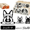 楽天市場 ゴム印のイラスト一覧 大型犬のゴム印一覧 動物イラストはんこ しっぽと生活