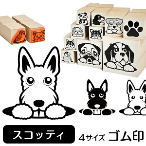 かわいい 犬 スタンプ 印鑑の通販 価格比較 価格 Com