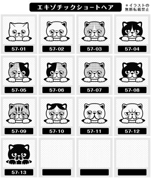 楽天市場 エキゾチックショートヘア イラスト ゴム印 角印 16mm 油性インク 対応 かわいい 猫 ネコ 動物 雑貨 グッズ ハンコ スタンプ 可愛い プレゼント オリジナル 耐油 ギフト 贈り物 買い回り ポイント消化 送料無料 クリスマス お歳暮 動物イラストはんこ しっぽ