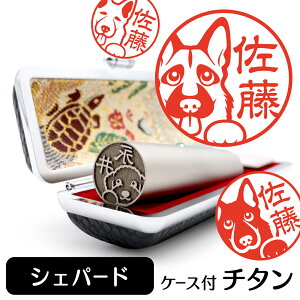 VFp[h CXg  `^  s yA^EӃP[Xt uXg`^ 13.5mm 15mm zObY G 킢    nR F   v[g Mtg 