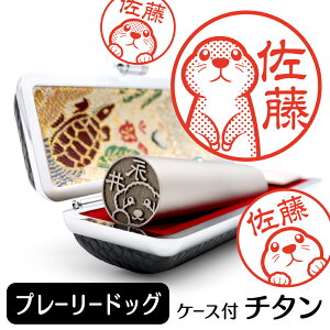 v[[hbO CXg `^ s F P[Xt  ObY G 킢  nR 13.5mm 15mm Mtg v[g NX}X