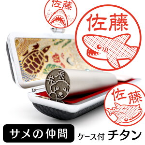 T CXg  `^  s yA^EӃP[Xt uXg`^ 13.5mm 15mm zObY G 킢 L  nR F   v[g Mtg j 