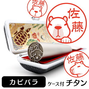 Jso CXg `^ s F P[Xt  ObY G 킢  nR 13.5mm 15mm Mtg v[g Jsp Vl