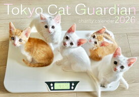 東京キャットガーディアン 2026カレンダー 見開きA3サイズ 猫カレンダー ペット 保護猫 新作カレンダー【同梱A】