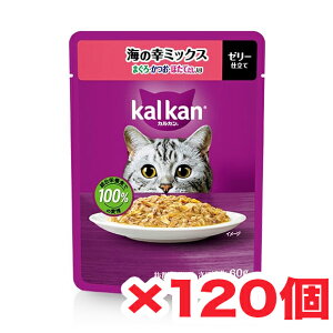 Lbgt[h L pE`y60g/1܁z12 120 JJ pE` C̍K~bNX ܂EEقĂ EFbgt[h h{H }[XWpyL azyAzshippotv