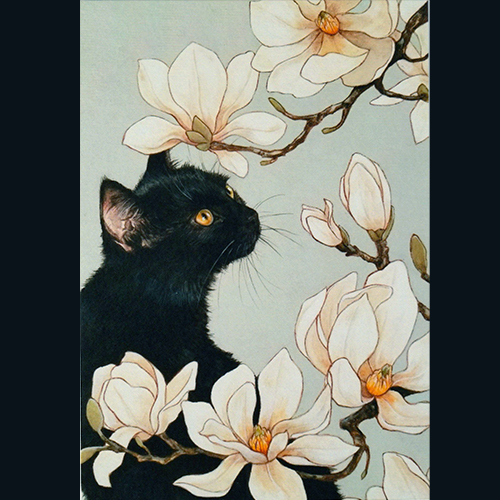 写実的 美麗なイラストポストカード お気に入り 消費税無し 白木蓮と黒猫 ポストカード
