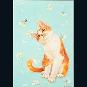 ochopi |XgJ[h uĂƂƒLv yAz