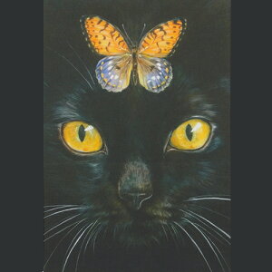 ochopi |XgJ[h u낢ځiL)v yAz