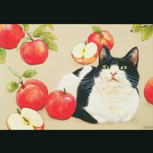 ochopi |XgJ[h uSƃn`ȂLv yAz