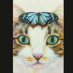 ochopi |XgJ[h uځiLWVjv yAz