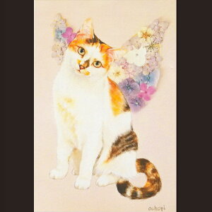 ochopi |XgJ[h uFlower Cat Fairies Rv yAz