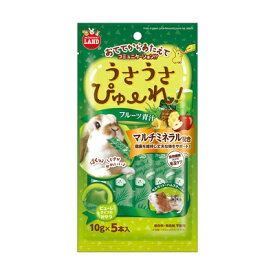 ＼アウトレット／ 【賞味期限 2026年5月31日】うさうさぴゅーれ フルーツ青汁 10g×5本【同梱B】