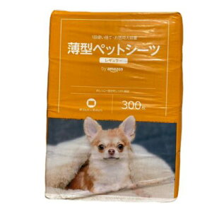 _AEgbg^ ybgV[c M[ 300yBz