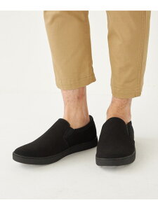 SHIPS Colors:Xb| Xj[J[ SHIPS Colors VbvX V[YEC Xb| O[ x[W ubN uEyz[Rakuten Fashion]