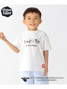 SHIPS Colors:80~130cm / Ђ̃V[ R~bNvg TVc SHIPS Colors VbvX gbvX Jbg\[ETVc zCg[Rakuten Fashion]