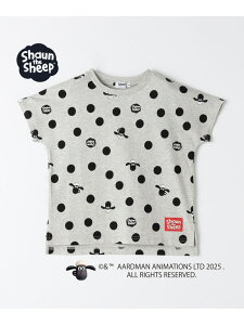 SHIPS Colors:80~130cm / Ђ̃V[ hbg vg TVc SHIPS Colors VbvX gbvX Jbg\[ETVc O[ zCg[Rakuten Fashion]