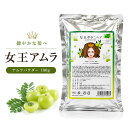 アムラ 女王アムラパウダー 100g ダメージヘアや頭皮の為のトリートメントパウダー ミネラル ビタミンC、ポリフェノール豊富 オーガニック 非食品 コンディショナー　頭皮をキレイにし美髪【連続優秀賞受賞のお店】