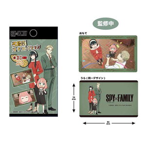 䂤pPbgSPY×FAMILY ʃJ[hRNVy18ܓzAj@LN^[@er@@}K@ObY@ii@Cxg@J[h@RNV@̎