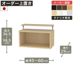 ��1cm�P�ʃI�[�_�[���b�N ��u�� ����35cm ��45cm����60cm ���s29cm F2�X�^�[���� �S�I�� �{�I �V�F���t �^�i���I ���[�Ƌ� ����Y��